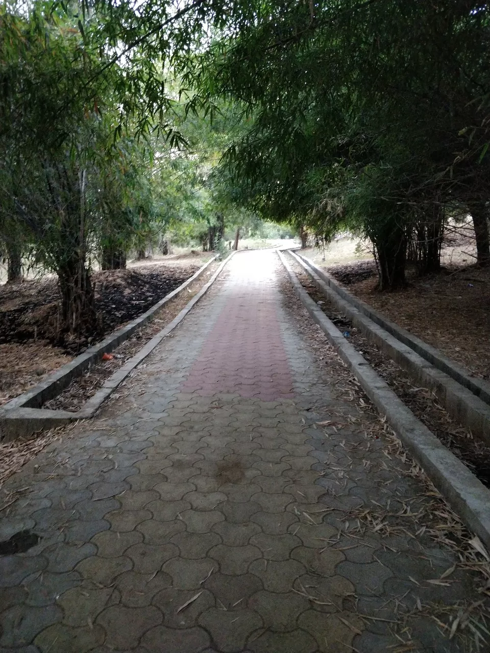 Photo of भanड़ाra डाiaरीज़ by Kartik Nair