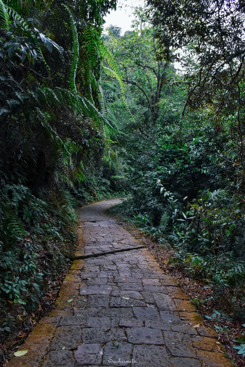 Photo of Krang Suri Waterfall, Meghalaya, India by Serendipity
