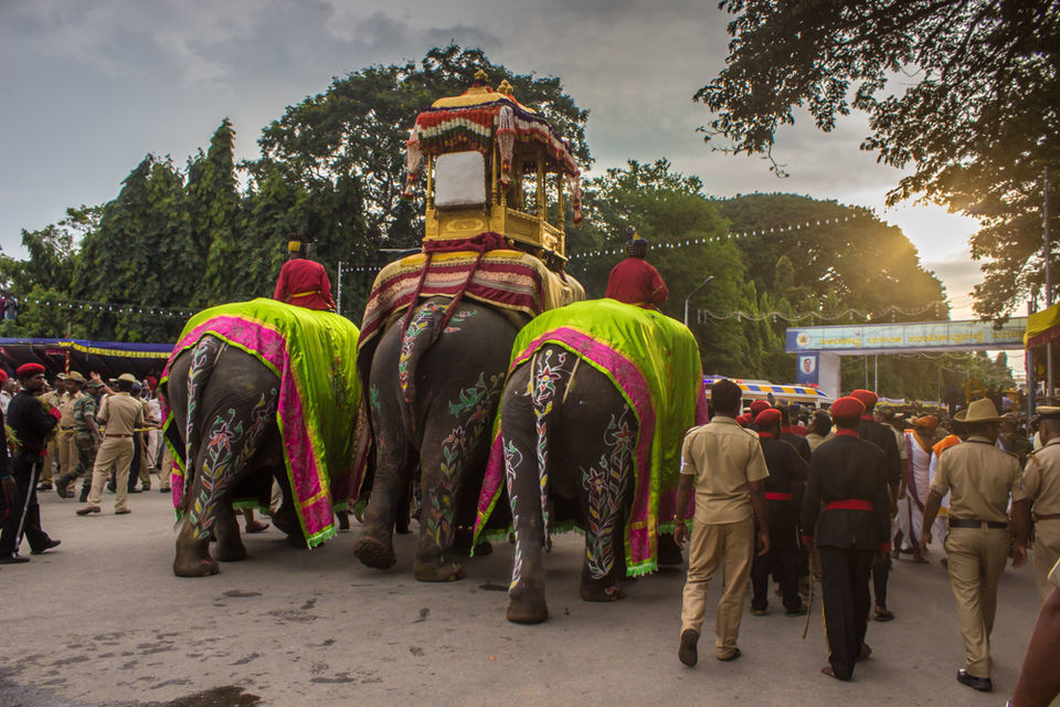 Photo of The Mysore Maharaja's Dusshera by Smita Joshi