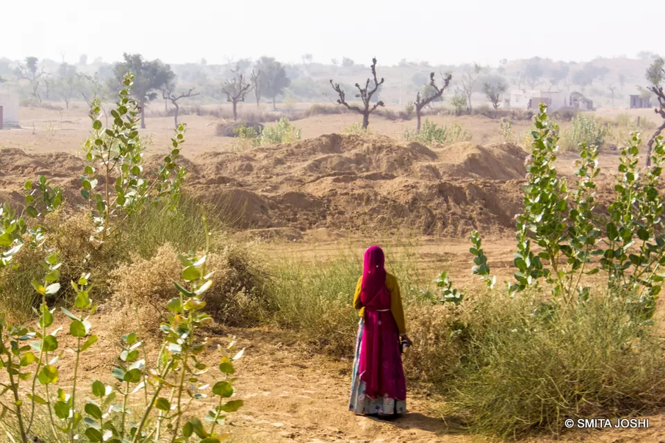 Photo of Hotel Sagar Bikaner, Sri Ganganagar Road, Samta Nagar, Bikaner, Rajasthan, India by Smita Joshi