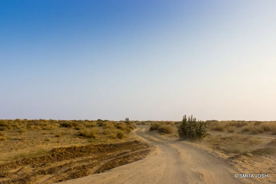 Photo of Hotel Sagar Bikaner, Sri Ganganagar Road, Samta Nagar, Bikaner, Rajasthan, India by Smita Joshi