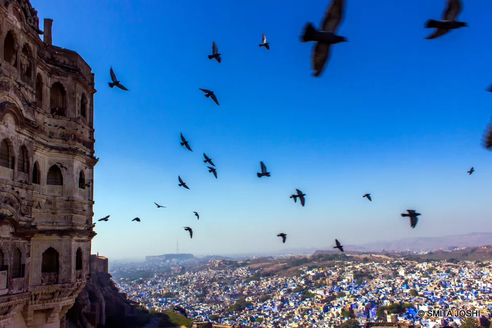 Photo of Hotel Sagar Bikaner, Sri Ganganagar Road, Samta Nagar, Bikaner, Rajasthan, India by Smita Joshi