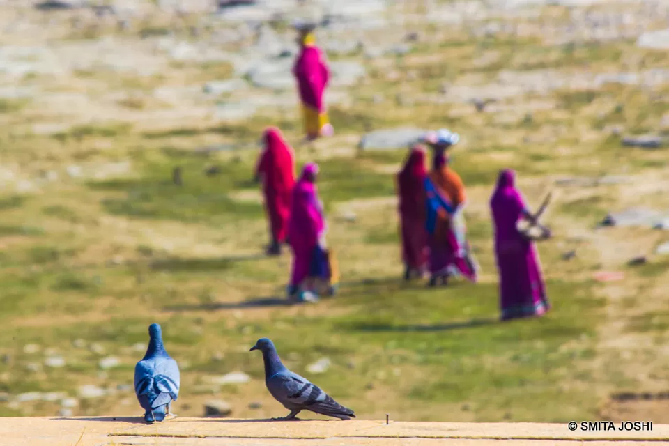 Photo of Hotel Sagar Bikaner, Sri Ganganagar Road, Samta Nagar, Bikaner, Rajasthan, India by Smita Joshi