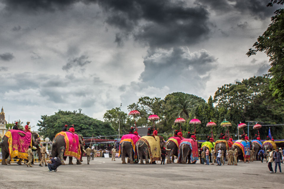Photo of Mysore Palace, Agrahara, Chamrajpura, Mysuru, Karnataka by Smita Joshi