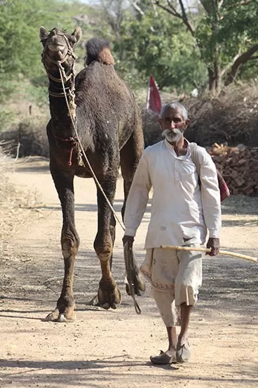 Photo of Godwad Safari Camp, Bali, Rajasthan, India by Bharat Jhala
