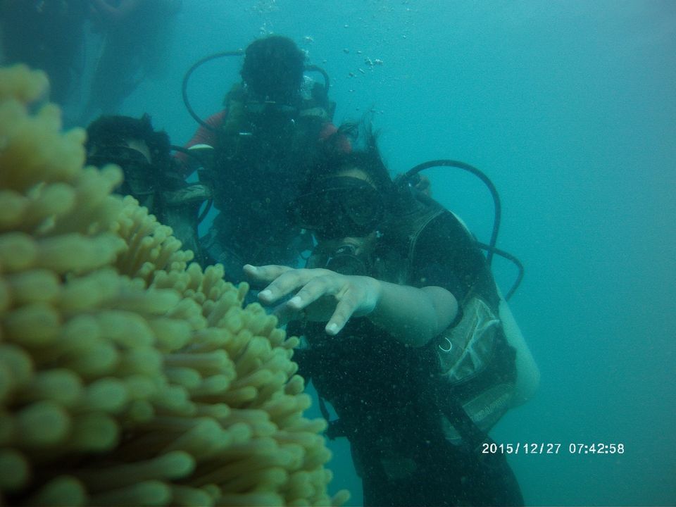 Photo of Andaman: India's own phoren destination! by Reeti Srivastava