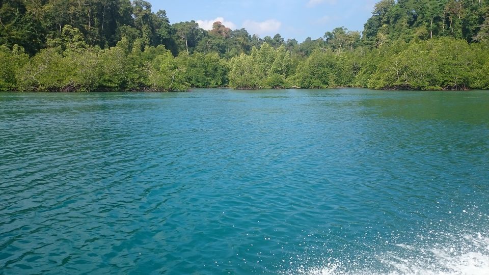Photo of JOLLY BUOY, South Andaman, Andaman and Nicobar Islands, India by Reeti Srivastava