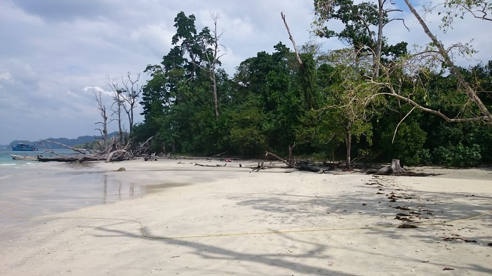 Photo of Elephant Island by Reeti Srivastava