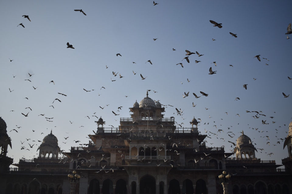 Photo of Your Guide To Get Best Of Jaipur For Photography In A Day by Suraj Sharma