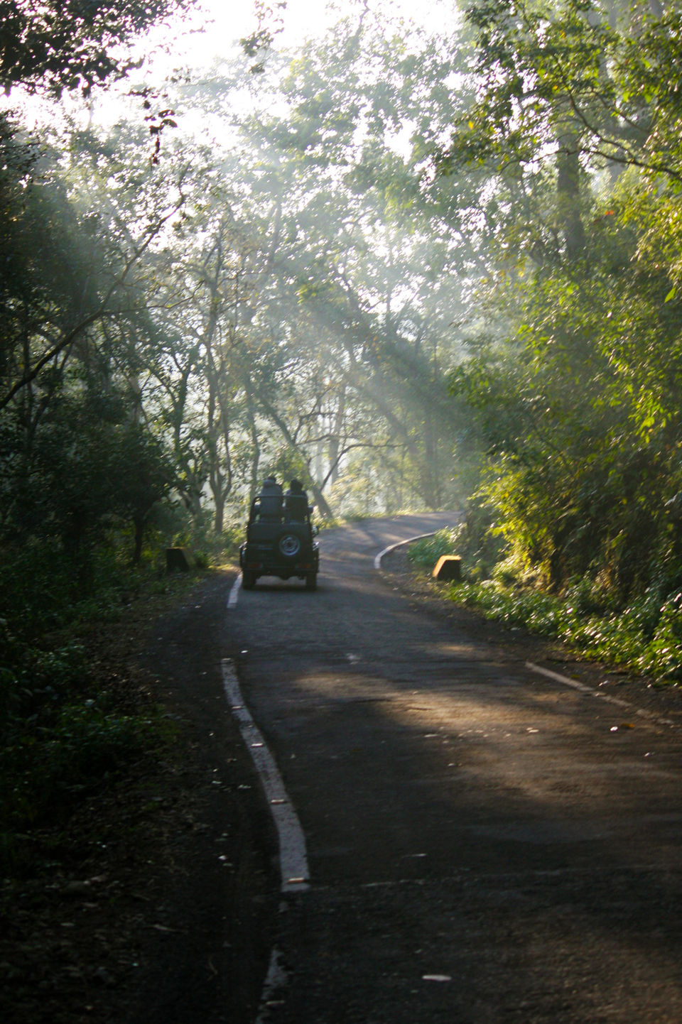 Photo of Jim Corbett National Park, Ramnagar, Uttarakhand, India by Divya Mahesh Kumar