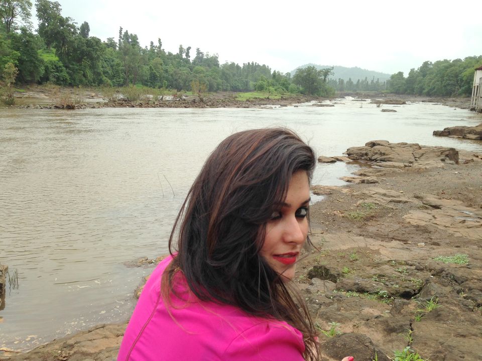 Photo of Road tripping with my pooch #Travelwithpets by Krutika Joshi