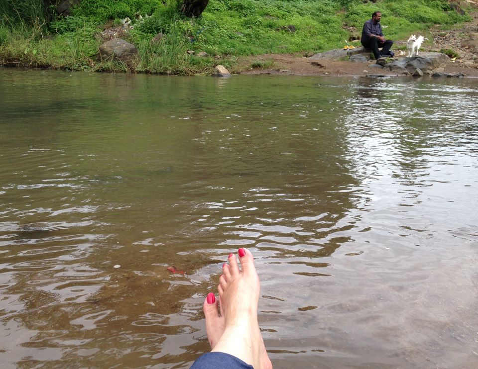 Photo of Road tripping with my pooch #Travelwithpets by Krutika Joshi