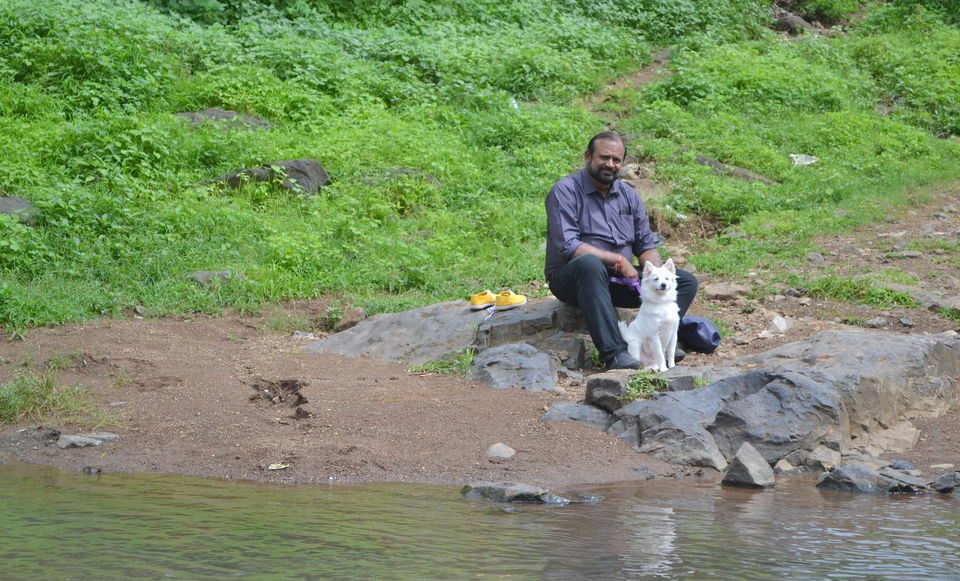 Photo of Road tripping with my pooch #Travelwithpets by Krutika Joshi
