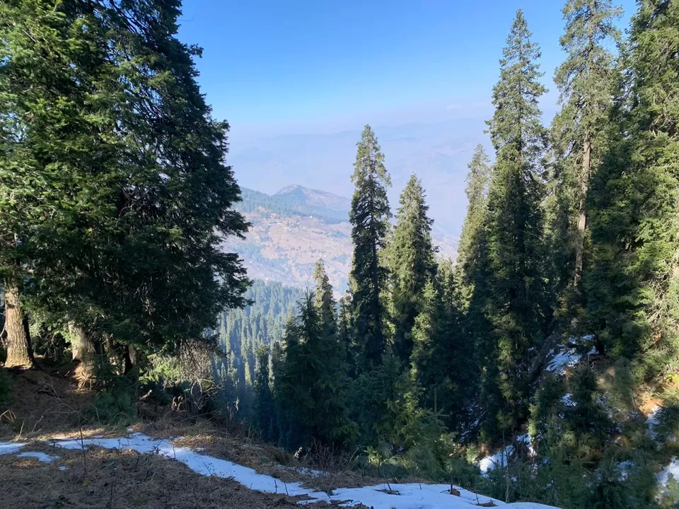 Photo of Shimla- From The Eyes Of A Local #destinationskip by shikha kanwar