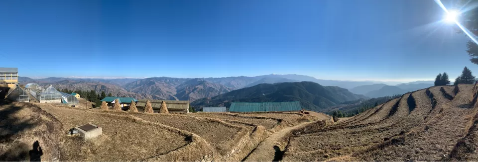 Photo of Shimla- From The Eyes Of A Local #destinationskip by shikha kanwar