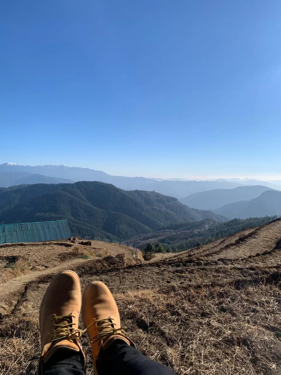 Photo of Shimla- From The Eyes Of A Local #destinationskip by shikha kanwar