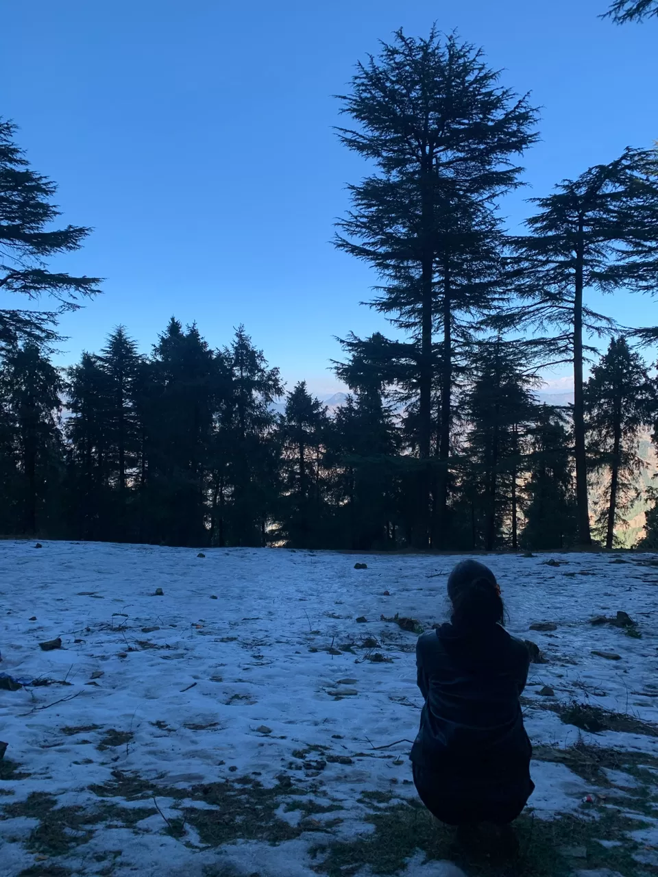 Photo of Shimla- From The Eyes Of A Local #destinationskip by shikha kanwar