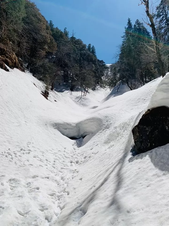 Photo of Jalori Pass, Jalori, Sajwar, Himachal Pradesh by shikha kanwar