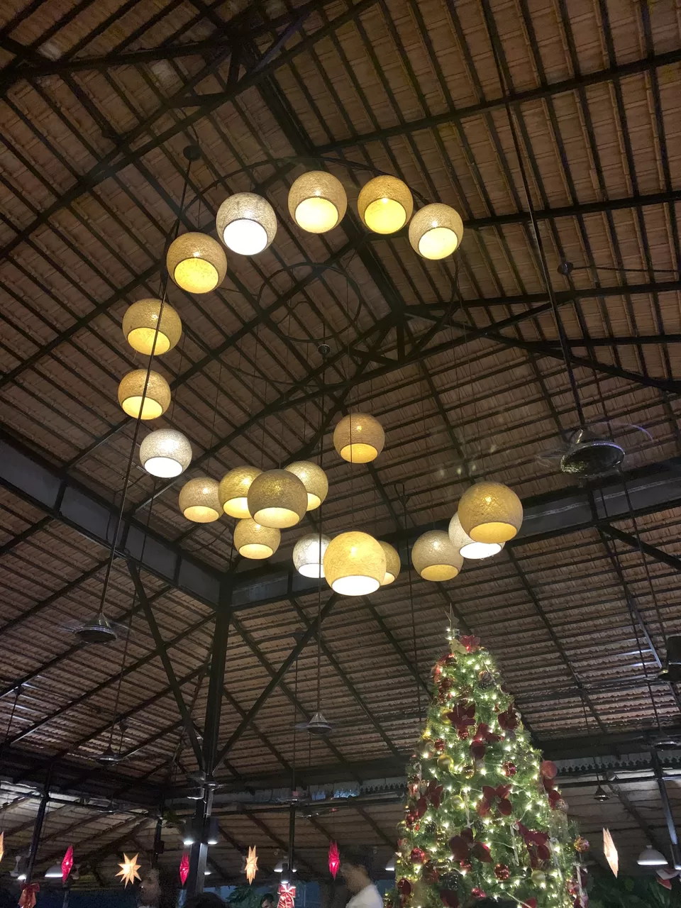 Photo of Fat fish, Baga Beach, Baga, Goa, India by shikha kanwar