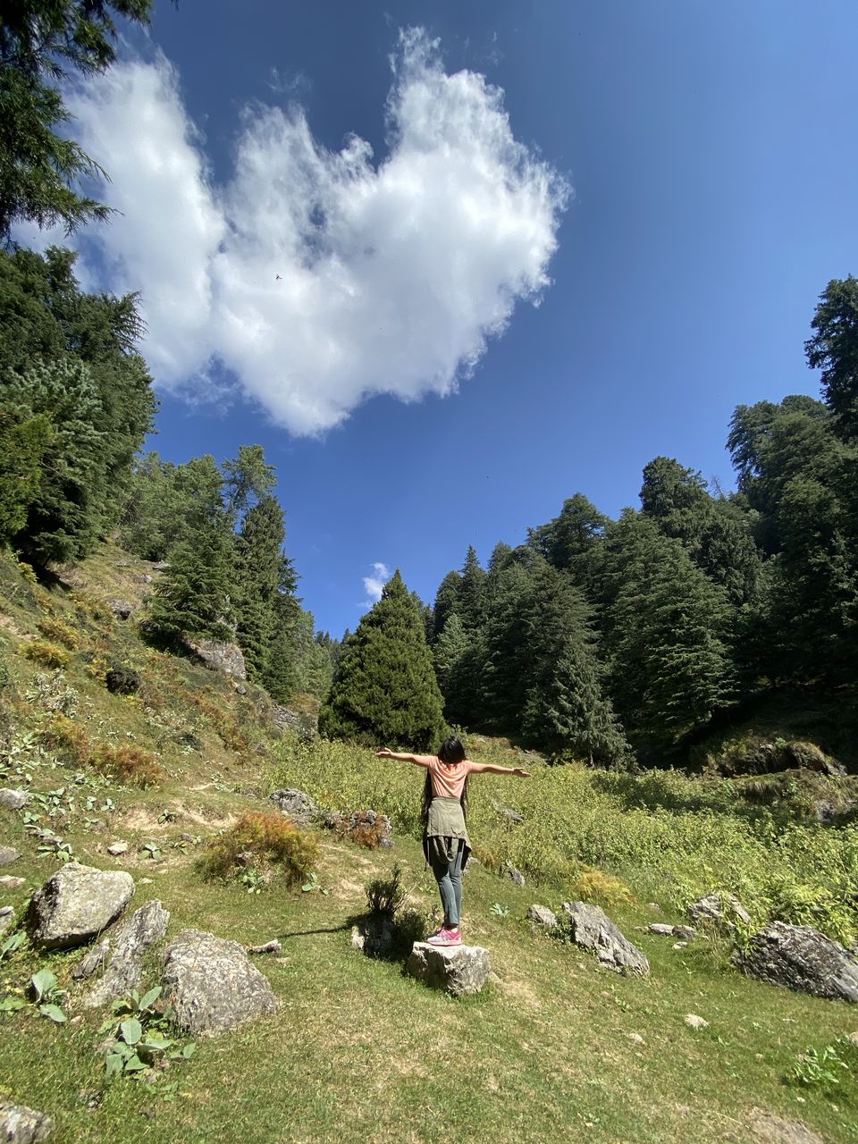 Photo of Shimla- From The Eyes Of A Local #destinationskip by shikha kanwar