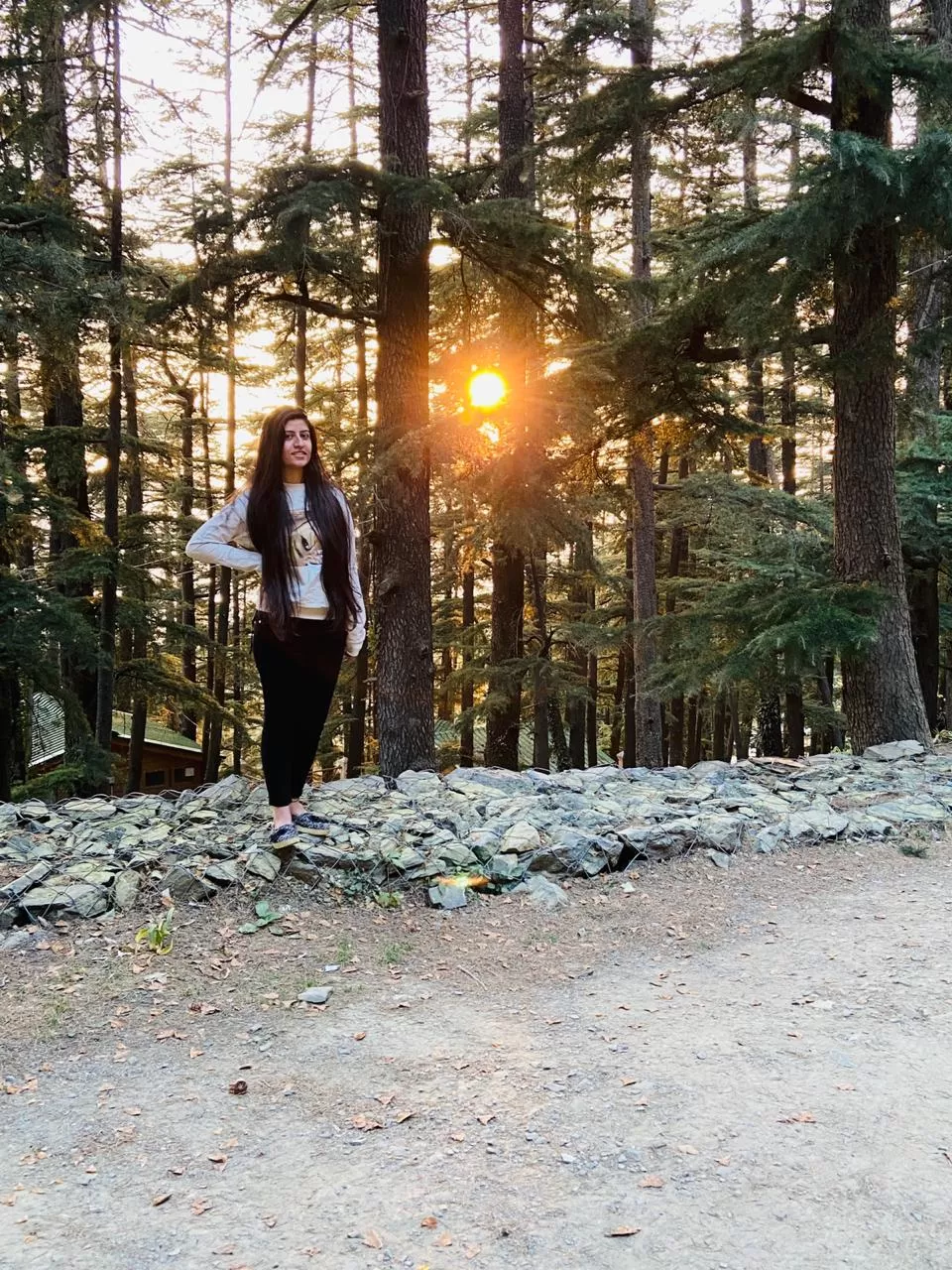 Photo of Shimla- From The Eyes Of A Local #destinationskip by shikha kanwar