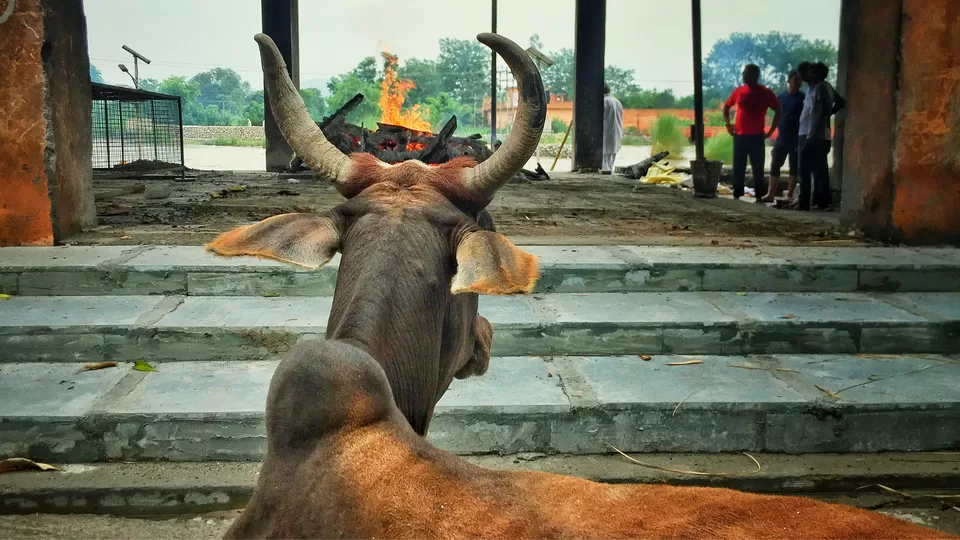 Photo of Kankhal,Haridwar by Anshuman Shukla