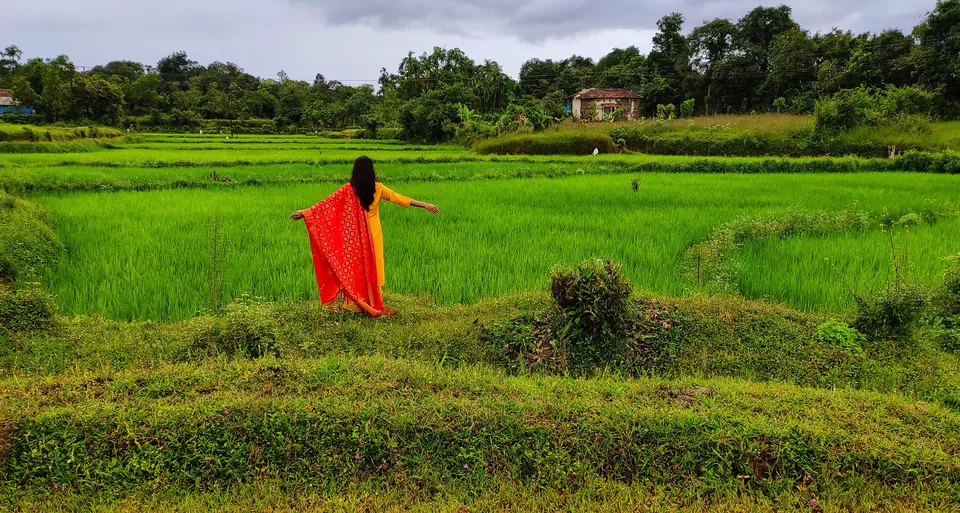 Photo of Agumbe Rainforest Research Station, Agumbe, Karnataka, India by Neha Rawat