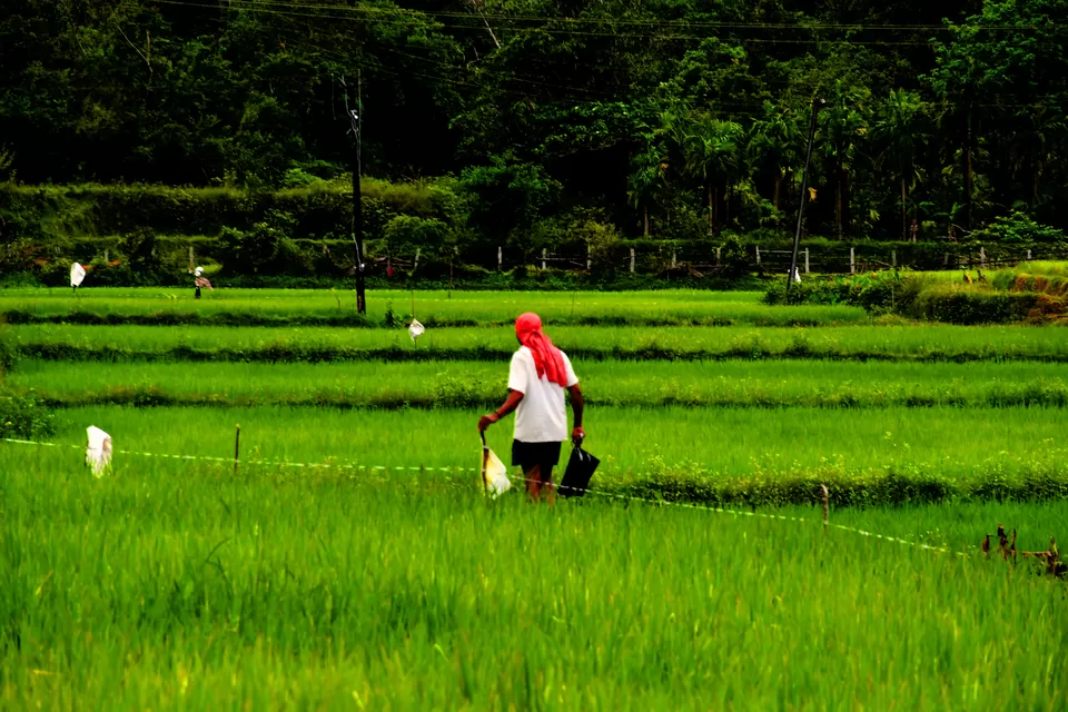 Photo of Agumbe Rainforest Research Station, Agumbe, Karnataka, India by Neha Rawat