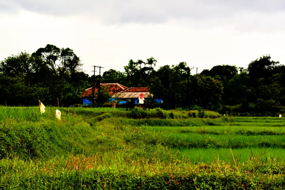 Photo of Agumbe Rainforest Research Station, Agumbe, Karnataka, India by Neha Rawat