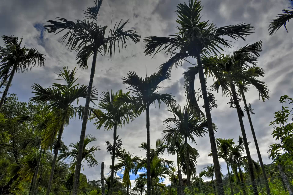 Photo of Kavaledurga Fort, Kavaledurga, Karnataka, India by Neha Rawat