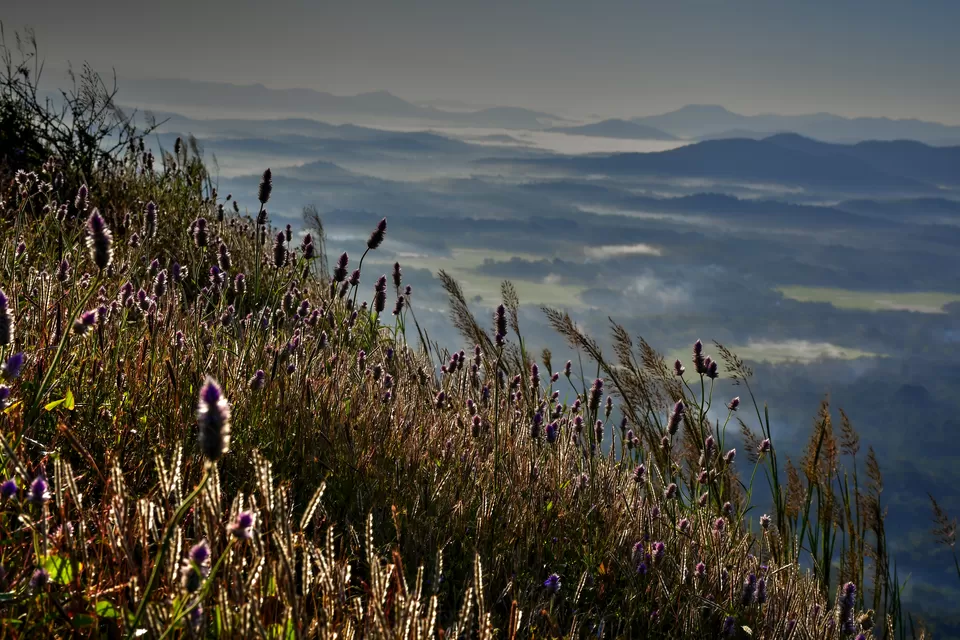 Photo of Kundadri Hills, Kundadri Ghat, Kundadri, Karnataka, India by Neha Rawat