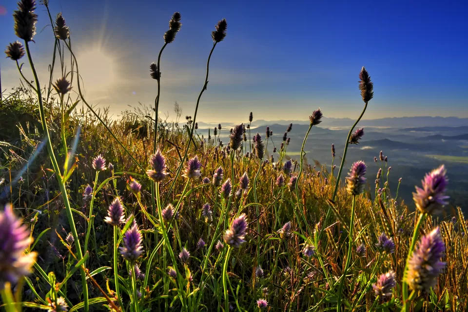 Photo of Kundadri Hills, Kundadri Ghat, Kundadri, Karnataka, India by Neha Rawat