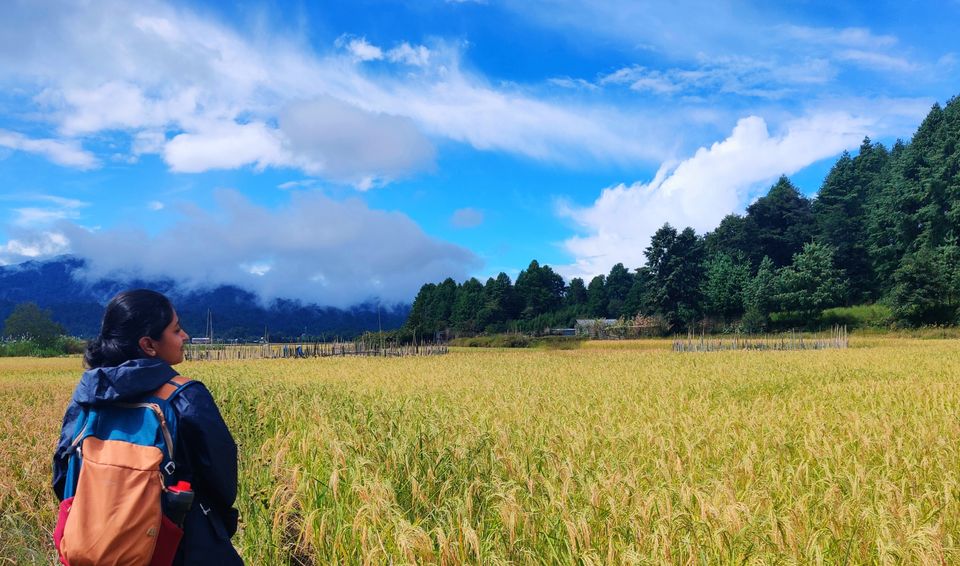 Photo of Ziro Festival of Music by SK......
