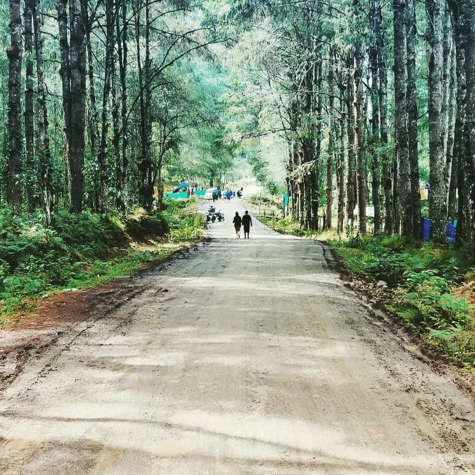 Photo of Ziro Festival of Music by SK......