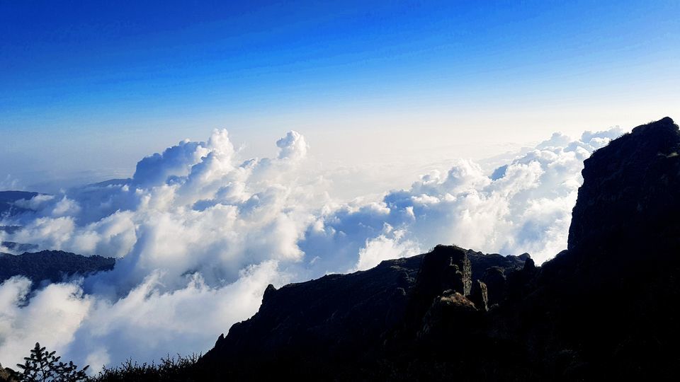 Photo of On top of the world.. by SK......