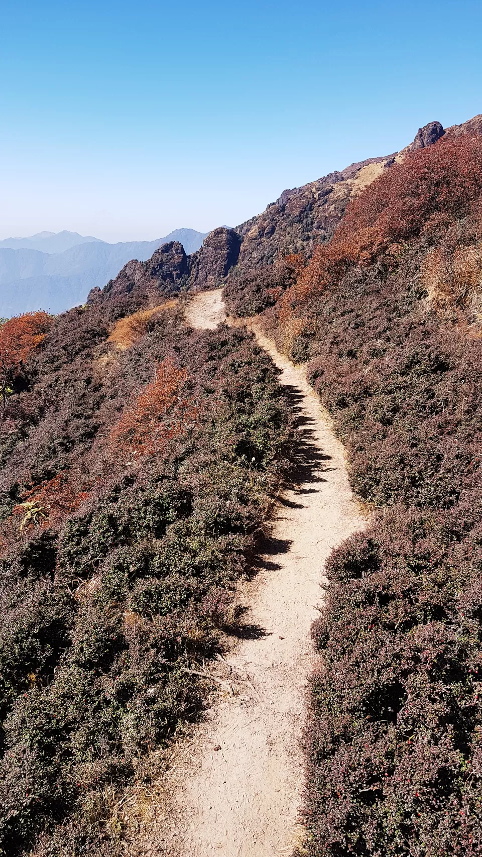 Photo of Sandakphu, Nepal by SK......