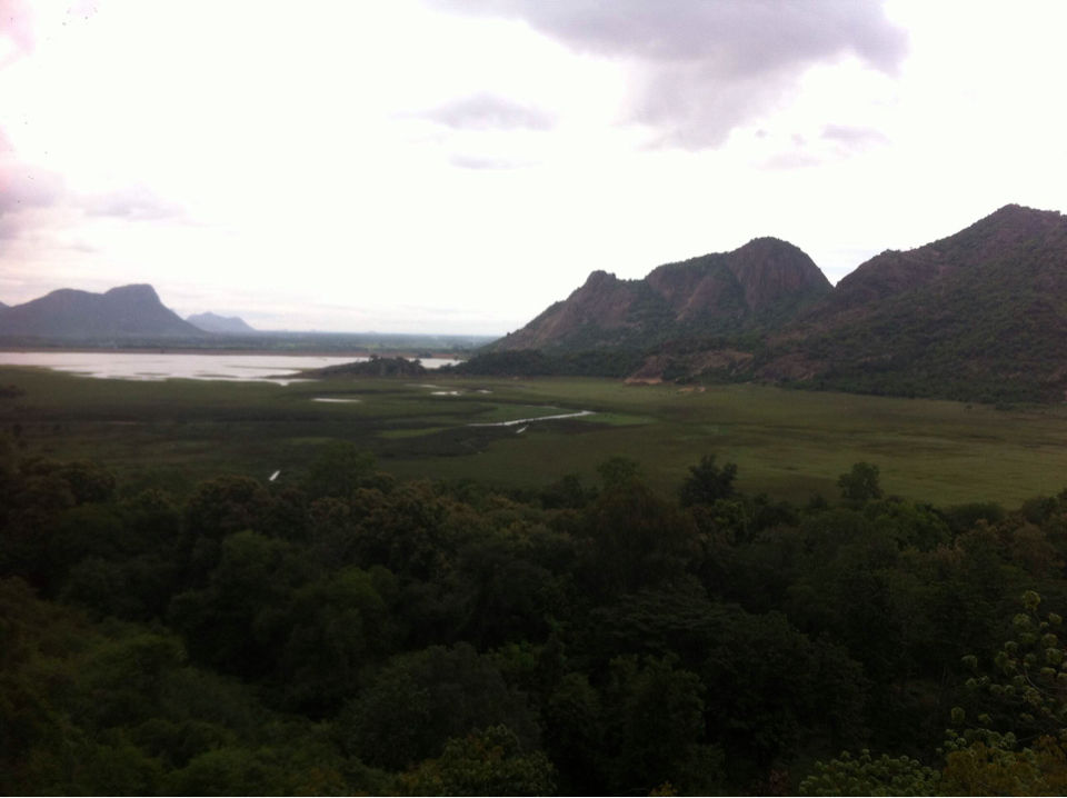 Photo of Kodaikanal mushroom trip valley- 1000 kms headshot. 7/15 by Anit The Peaceful Rider \m/