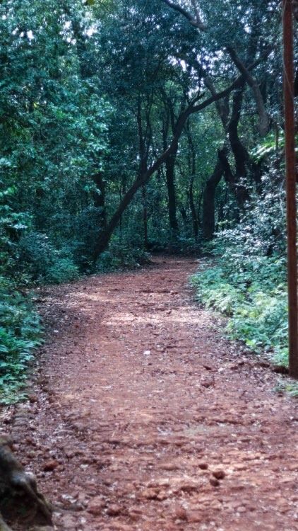 Photo of Matheran, Maharashtra, India by Jagrut Bhatt