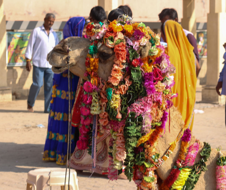 Photo of Dwarka, Gujarat, India by Jagrut Bhatt