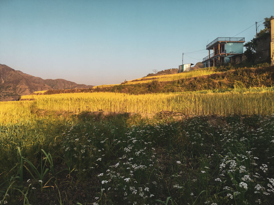 Photo of Sainji – The Corn Village of India by Jagrut Bhatt