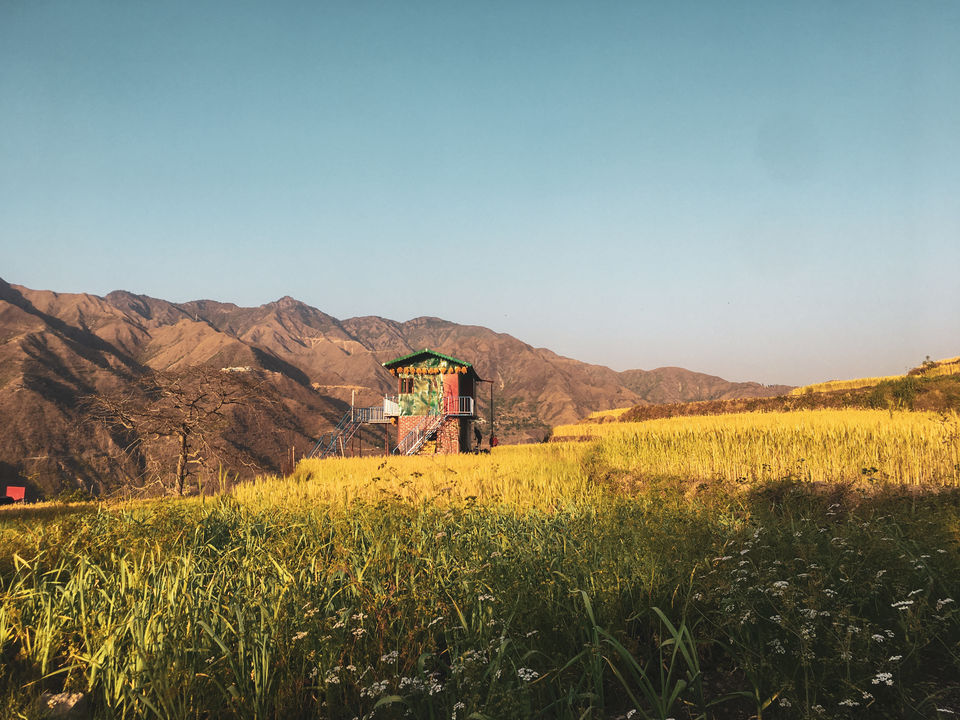 Photo of Sainji, Uttarakhand, India by Jagrut Bhatt