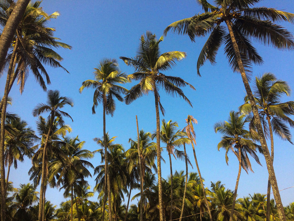 Photo of Figuring My Way To Delta Beach, Udupi by Geethanjali S