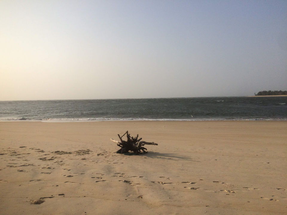 Photo of Delta Point- Where The Sea, River And I Found Peace. by Geethanjali S