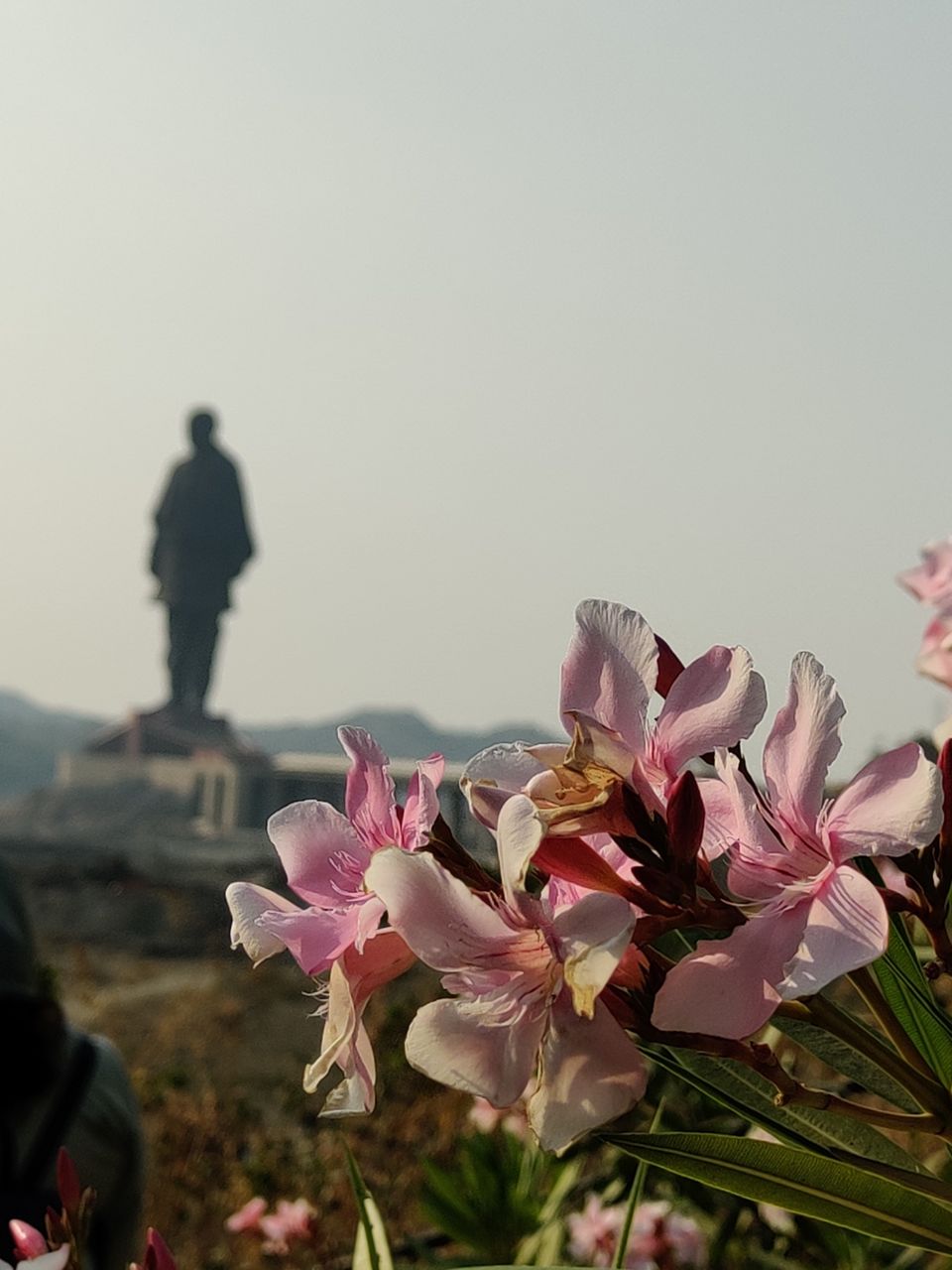 Photo of A day trip to statue of Unity. by Dr.Svathi mouna