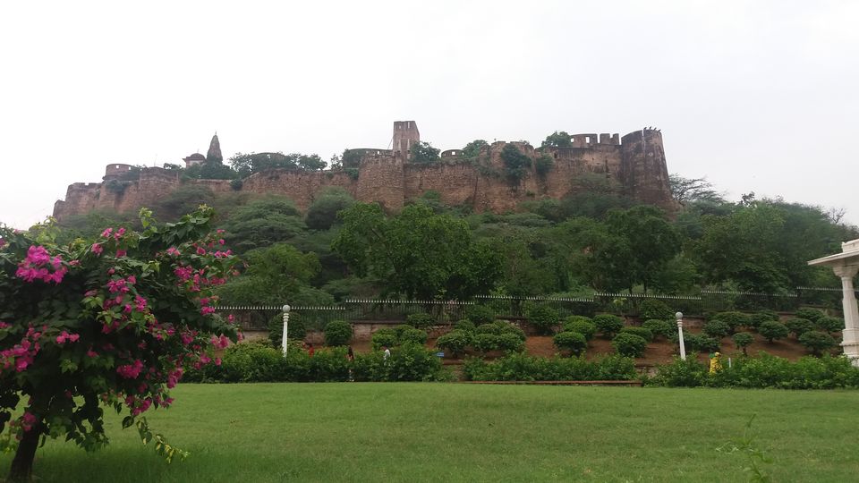 Photo of Jaipur, Rajasthan, India by Swadha Singh