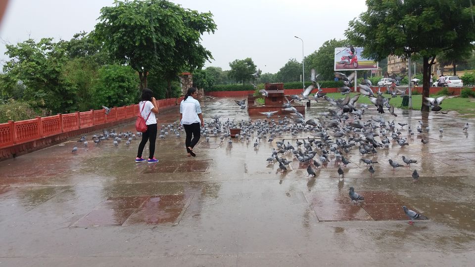 Photo of Jaipur, Rajasthan, India by Swadha Singh