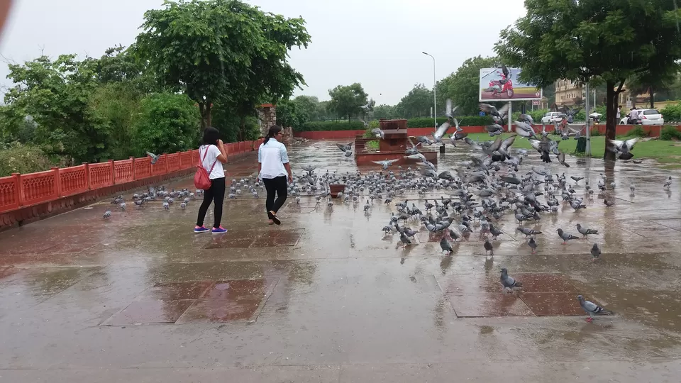 Photo of Jaipur, Rajasthan, India by Swadha Singh