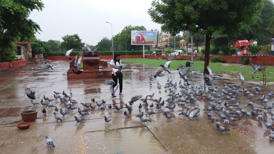 Photo of Jaipur, Rajasthan, India by Swadha Singh