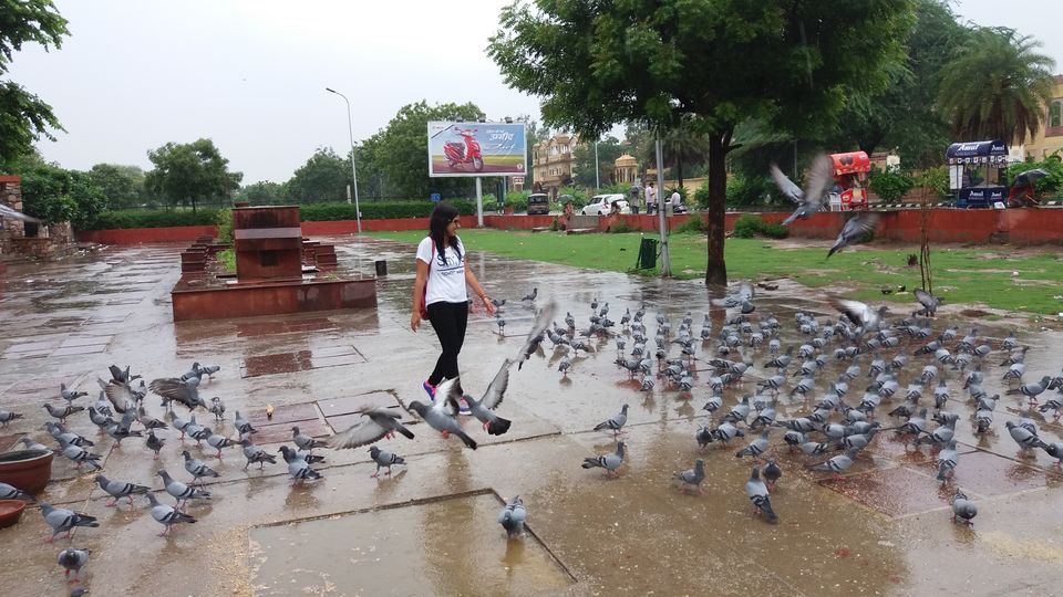 Photo of Jaipur, Rajasthan, India by Swadha Singh
