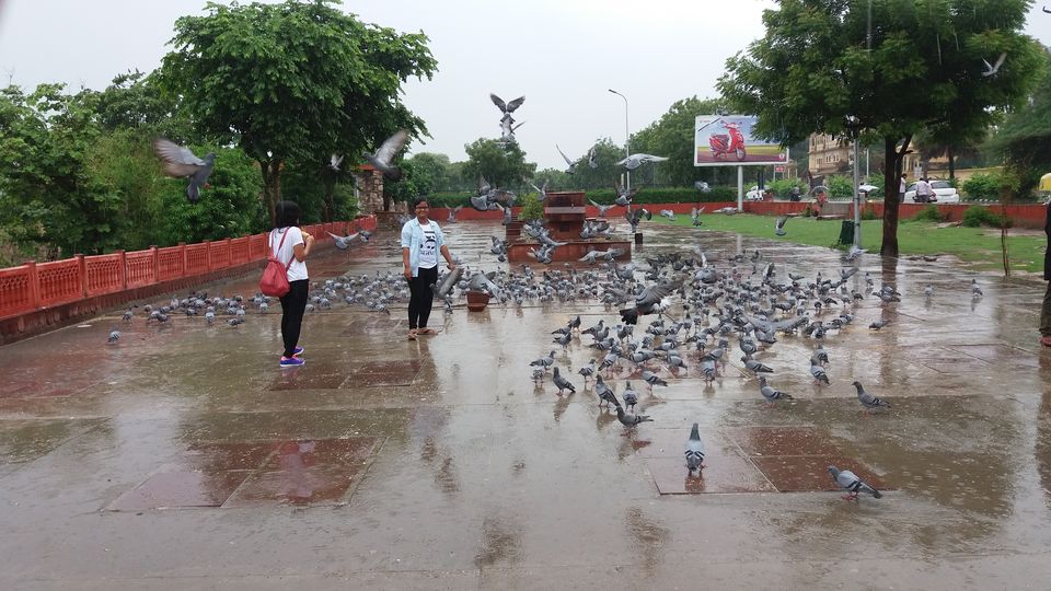 Photo of Jaipur, Rajasthan, India by Swadha Singh